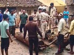 सागौन तस्करी नेटवर्क पर USTR का बड़ा वार, ओडिशा में छापा; 3 संदिग्धों के ठिकानों से लकड़ी बरामद