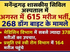 मनेन्द्रगढ़ में कुत्तों का आतंक! एक महीने में 268 डॉग बाइट के मामले