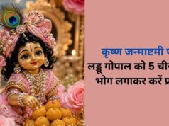 जन्माष्टमी पर लड्डू गोपाल को जरूर चढ़ाएं ये 5 भोग, घर में आएगी सुख-समृद्धि! जानें क्या है प्रिय भोग