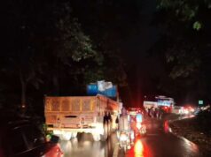 बचेली-नेरली घाटी में बड़ा हादसा! पेड़ से टकराया ट्रक, सड़क पर लगा लंबा जाम; बसें-कारें फंसीं
