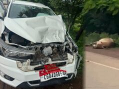 NH पर जिपं अध्यक्ष की कार हादसे का शिकार, अचानक सामने आई गाय से हुई टक्कर