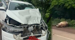 NH पर जिपं अध्यक्ष की कार हादसे का शिकार, अचानक सामने आई गाय से हुई टक्कर