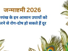 जन्माष्टमी पर मोरपंख के ये उपाय बदल सकते हैं आपकी किस्मत! धन, संतान और दांपत्य जीवन के लिए जानें खास उपाय