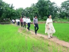 डिजिटल क्रॉप सर्वे में सारंगढ़-बिलाईगढ़ ने रचा रिकॉर्ड, प्रदेश में हासिल किया पहला स्थान