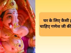 गणेश चतुर्थी पर घर ला रहे हैं बप्पा की प्रतिमा? भूलकर भी न करें ये गलती, जानें कैसी होनी चाहिए मूर्ति