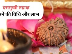 कालसर्प दोष से लेकर करियर की परेशानी तक, दसमुखी रुद्राक्ष के बताए गए हैं ये चमत्कारी लाभ; जानें पहनने का सही तरीका