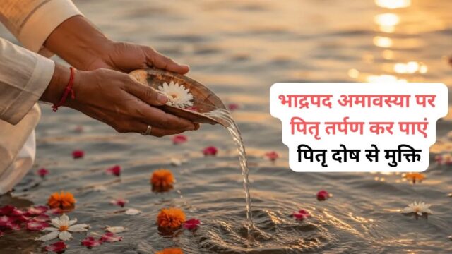 WhatsApp Image 2026-09-10 at 8.09.16 AM