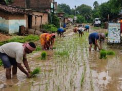 हल्की बारिश में सड़क बन जाती है दलदल, ग्रामीणों का फूटा गुस्सा; PMGSY मार्ग पर की धान की रोपाई
