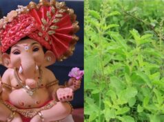 बप्पा को मोदक-दूर्वा चढ़ाते हैं, लेकिन तुलसी से क्यों रहते हैं दूर? जानें इसके पीछे की रोचक कहानी