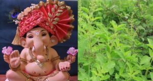 बप्पा को मोदक-दूर्वा चढ़ाते हैं, लेकिन तुलसी से क्यों रहते हैं दूर? जानें इसके पीछे की रोचक कहानी