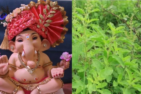 बप्पा को मोदक-दूर्वा चढ़ाते हैं, लेकिन तुलसी से क्यों रहते हैं दूर? जानें इसके पीछे की रोचक कहानी