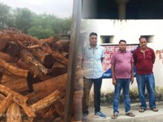 खैर लकड़ी तस्करी का बड़ा सिंडिकेट बेनकाब, 2 साल में 120 करोड़ से ज्यादा का कारोबार; फर्जी बिलों का पूरा खेल उजागर