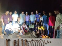 महाराष्ट्र–तेलंगाना सीमा पर वन्यजीव तस्करी के खिलाफ बड़ी कार्रवाई