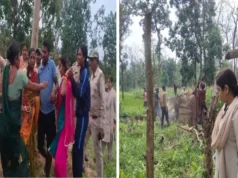 30 हजार पेड़ों की कटाई, 35 हेक्टेयर वनभूमि पर कब्जे के संकेत… करका के जंगल में जांच टीम से भिड़े ग्रामीण