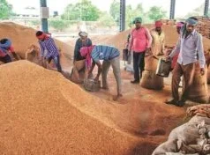 खरीफ विपणन वर्ष 2026-27 : किसानों की सुविधा के लिए महासमुंद जिले में 20 नए धान उपार्जन केन्द्रों को मिली अनुमति