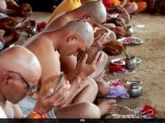 पितृ दोष दूर करेगा पीपल का यह अचूक उपाय, इंदिरा एकादशी पर जरूर अपनाएं….