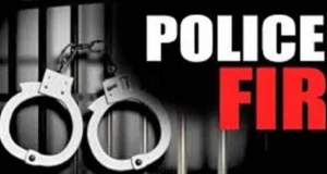 छत्तीसगढ़ के डिप्टी कलेक्टर पर दहेज प्रताड़ना का आरोप, पत्नी ने लगाया 2-3 करोड़ रुपये और लग्जरी कार मांगने का आरोप