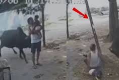 रायपुर में खूंखार हुआ आवारा सांड, एक के बाद एक 15 लोगों पर हमला; CCTV वीडियो आया सामने