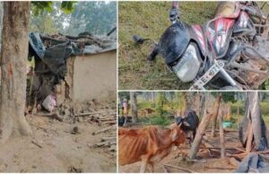 छत्तीसगढ़: तड़के 3 बजे गांव में घुसा हाथियों का झुंड, घर तबाह और मवेशियों की मौत से दहशत