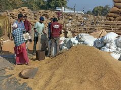 धान खरीदी ,2025-26 का कमीशन आज तक नहीं मिला, समिति कर्मचारी परेशान