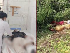अज्ञात वाहन ने मारी टक्कर, पुल से नीचे गिरी बाइक, नानी-नाती व पोते सहित तीन की हुई मौत, पुलिस जांच में जुटी