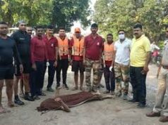 दुर्ग में युवक नदी के तेज बहाव में बहा:एसडीआरएफ ने सर्च ऑपरेशन चलाकर शव बरामद किया