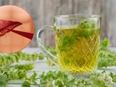 लिवर को हेल्दी और मजबूत रखने के लिए पिएं ये ड्रिंक्स, शरीर से टॉक्सिन निकालने में कर सकती हैं मदद