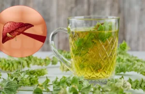लिवर को हेल्दी और मजबूत रखने के लिए पिएं ये ड्रिंक्स, शरीर से टॉक्सिन निकालने में कर सकती हैं मदद