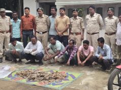 छत्तीसगढ़ में पैंगोलिन तस्करी का भंडाफोड़, 14 किलो शल्क के साथ 6 आरोपी गिरफ्तार