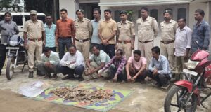 छत्तीसगढ़ में पैंगोलिन तस्करी का भंडाफोड़, 14 किलो शल्क के साथ 6 आरोपी गिरफ्तार