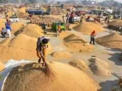 छत्तीसगढ़ के किसानों के लिए बड़ी सुविधा, 15 नवंबर से धान खरीदी; ऑनलाइन टोकन के नियम जानें