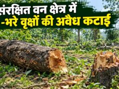 संरक्षित वन में हरे-भरे वृक्षों की कटाई, शिकायत के 5 दिन बाद दर्ज हुआ पीओआर