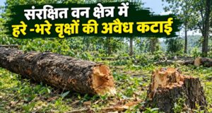 संरक्षित वन में हरे-भरे वृक्षों की कटाई, शिकायत के 5 दिन बाद दर्ज हुआ पीओआर