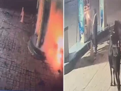 बच्ची की मौत से भड़के परिजन ने पेट्रोल पंप में की आगजनी, पुलिस ने किया गिरफ्तार