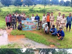 कोरिया वन मंडल में ‘सेवा मेरा योगदान’ अभियान के तहत स्वच्छता और पौधरोपण का आयोजन