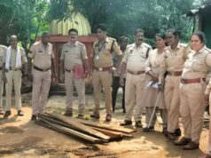 बिलासपुर में अवैध लकड़ी के कारोबार पर कार्रवाई, पूर्व सरपंच के घर से सागौन की लकड़ी जब्त