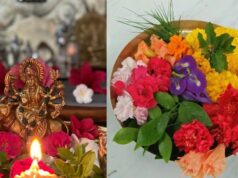 पूजा में फूल चढ़ाने से पहले जान लें ये नियम, भगवान विष्णु और मां दुर्गा को अर्पित न करें ये चीजें