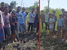 कवर्धा में नाली निर्माण के दौरान मिला नर कंकाल, झाड़ियों में खोपड़ी दिखते ही मचा हड़कंप