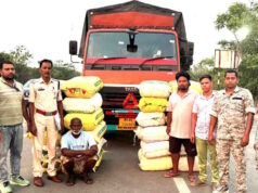 छत्तीसगढ़ में गांजे की बड़ी खेप पकड़ी गई, 560 किलो गांजे के साथ महाराष्ट्र के 2 तस्कर गिरफ्तार